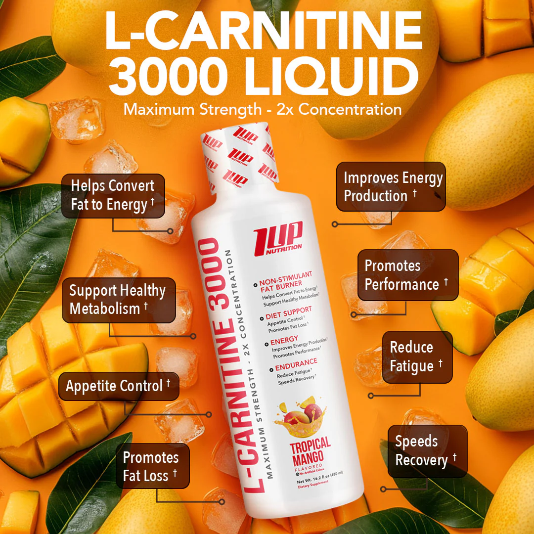 L-Carnitine 3000 Liquid - Image 13